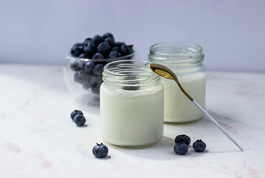 Greek Yoghurt: Why Is It Good For You? - Part 4