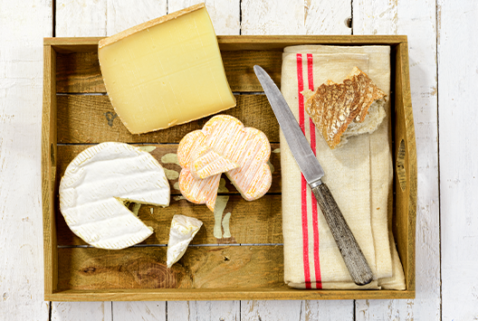 Master the Art of Cheese Storage: Tips for Keeping Cheese Fresh and Mold-Free