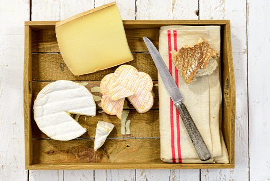Blog Master the Art of Cheese Storage: Tips for Keeping Cheese Fresh and Mold-Free