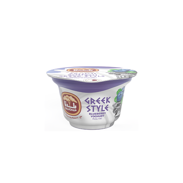 Greek Blueberry Yoghurt