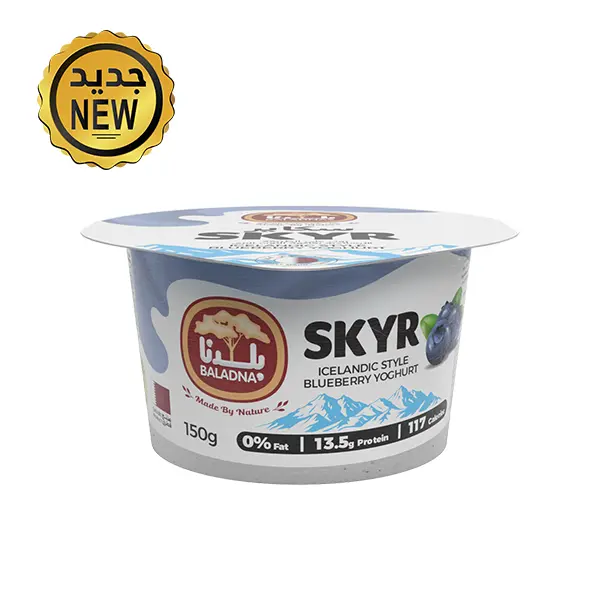 Skyr Yoghurt - Blueberry