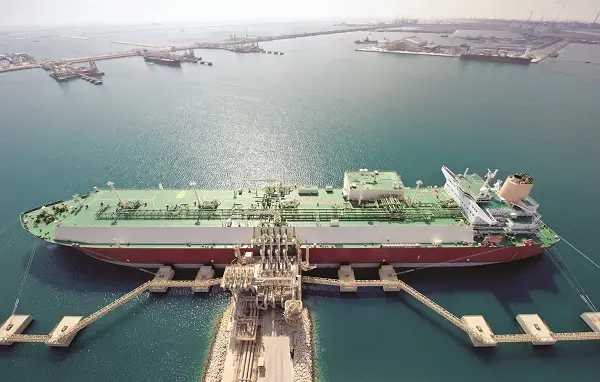 Blog Holstein cows at Baladna