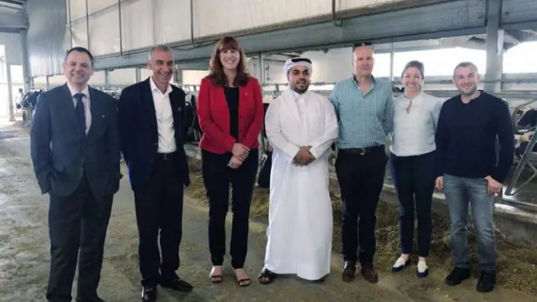 Blog Fresh shipment of Canadian dairy heifers delivered to Baladna