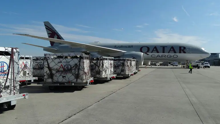 Blog The First Batches of Imported Cows Arrive in Doha via Qatar Airways