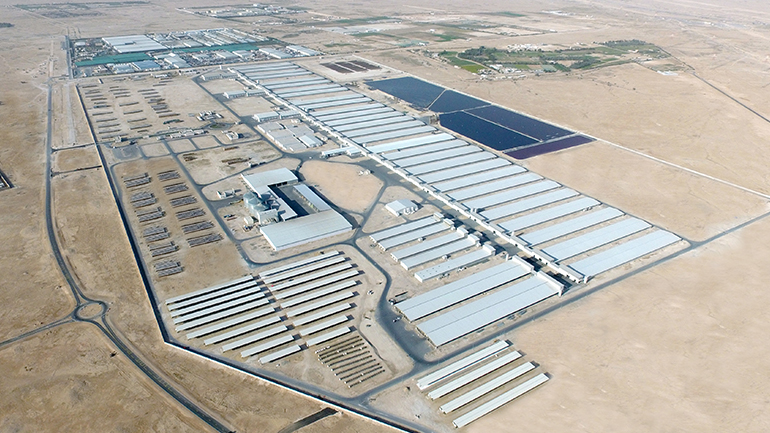 Blog Baladna Farm plans to meet Qatar’s dairy needs by April 2018