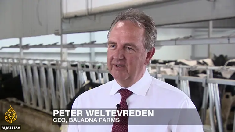 Blog Gulf crisis one year: Qatar steps up self-sustainability