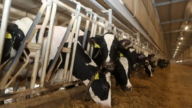 Blog How a recent float in Qatar became a target in a much wider regional dispute