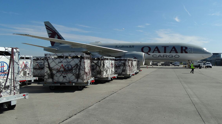 Blog The First Batches of Imported Cows Arrive in Doha via Qatar Airways