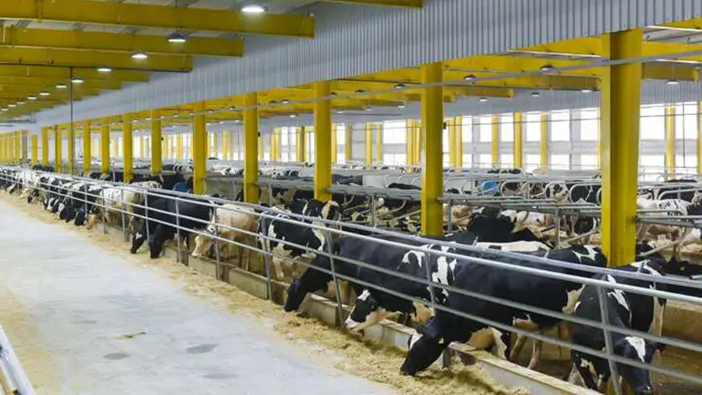 Blog Qatar Embargo Shows Signs of Erosion