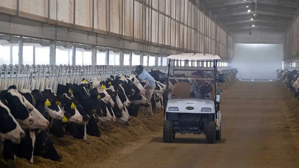 Blog Baladna increases ownership in Egypt’s Juhayna to 10%