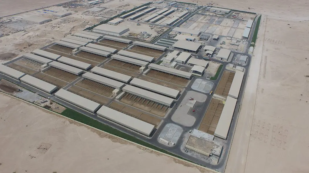 Blog Introductory paper about Baladna Animal Production Qatar